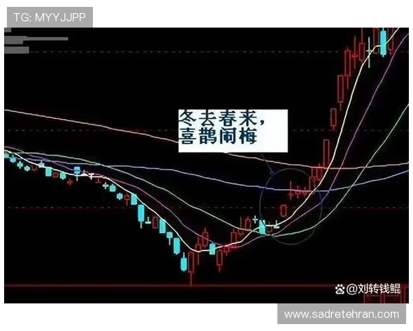 一本万利网上娱乐：掌握游戏技巧与资金管理双重策略实现稳健盈利的秘籍
