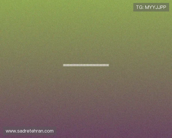 老品牌娱乐网站打造精彩世界杯主题报道,全面解析赛事亮点与精彩瞬间