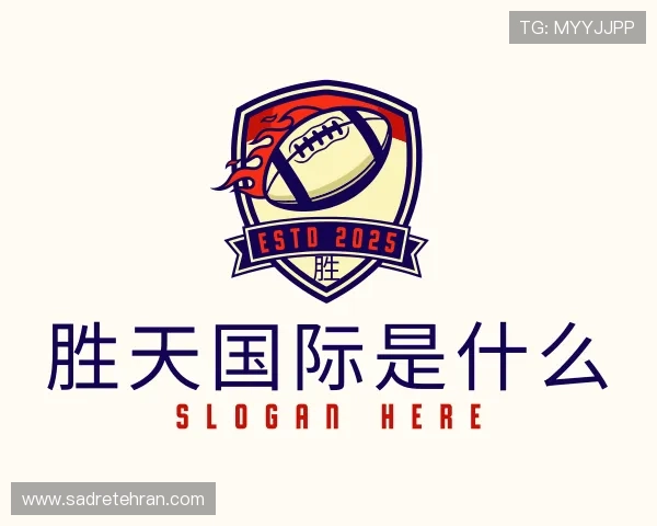 介绍胜天国际是什么